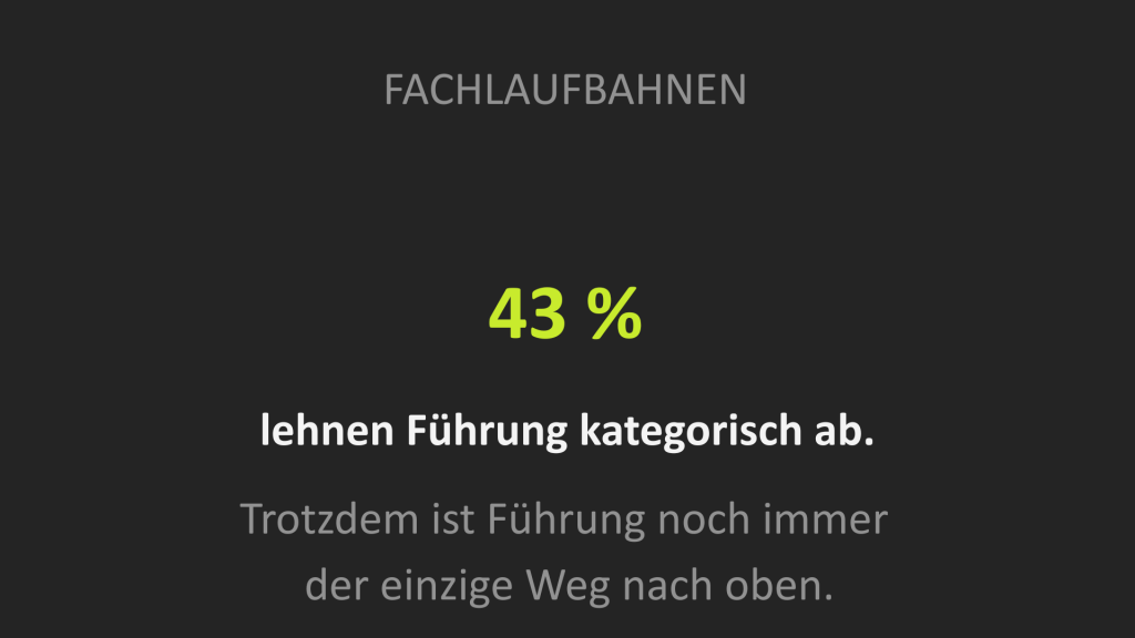 03_Fachlaufbahnen_Visual